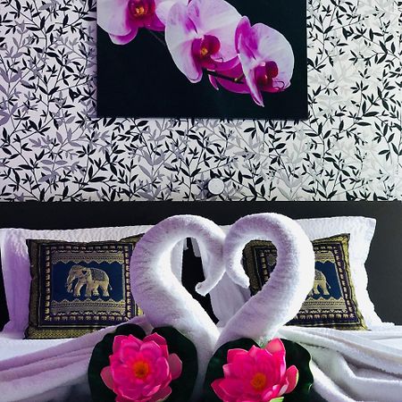 B&B Kookhai Kluisbergen Zewnętrze zdjęcie